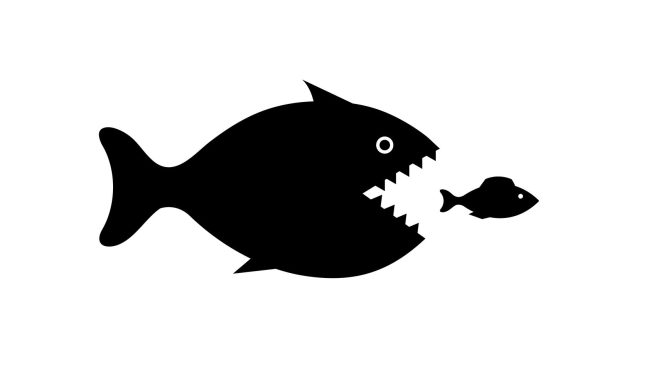 Deal Dive: Is Venture Debt a Hidden Gem for Asset Managers?
