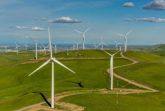 Venture capital interest in climate startups remains high despite cooling demand for traditional ventures worldwide.