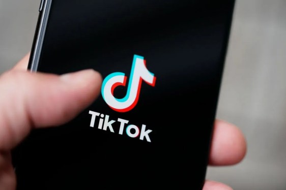 TikTok Fined in Italy Following Investigation into ‘French Scar’ Challenge Consumer Safety Probe